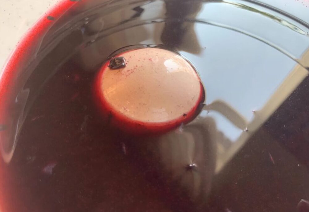 Me sorprendió descubrir por qué mi amigo italiano pone un huevo crudo en su vino