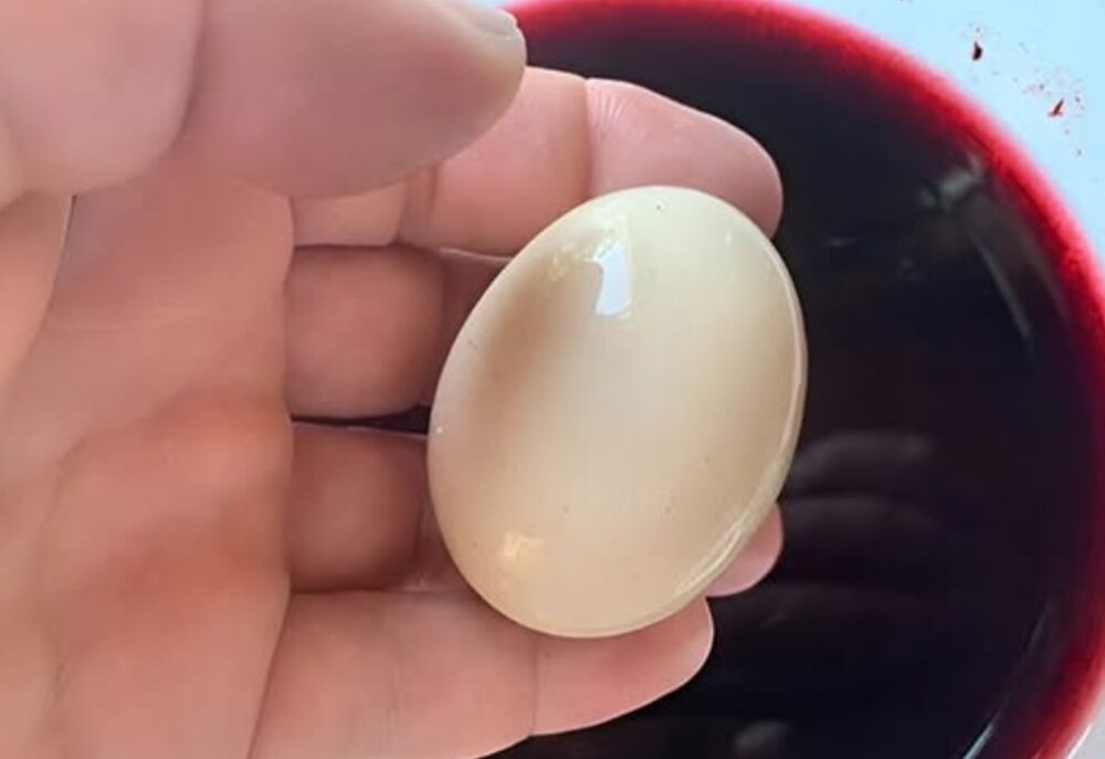 Me sorprendió descubrir por qué mi amigo italiano pone un huevo crudo en su vino
