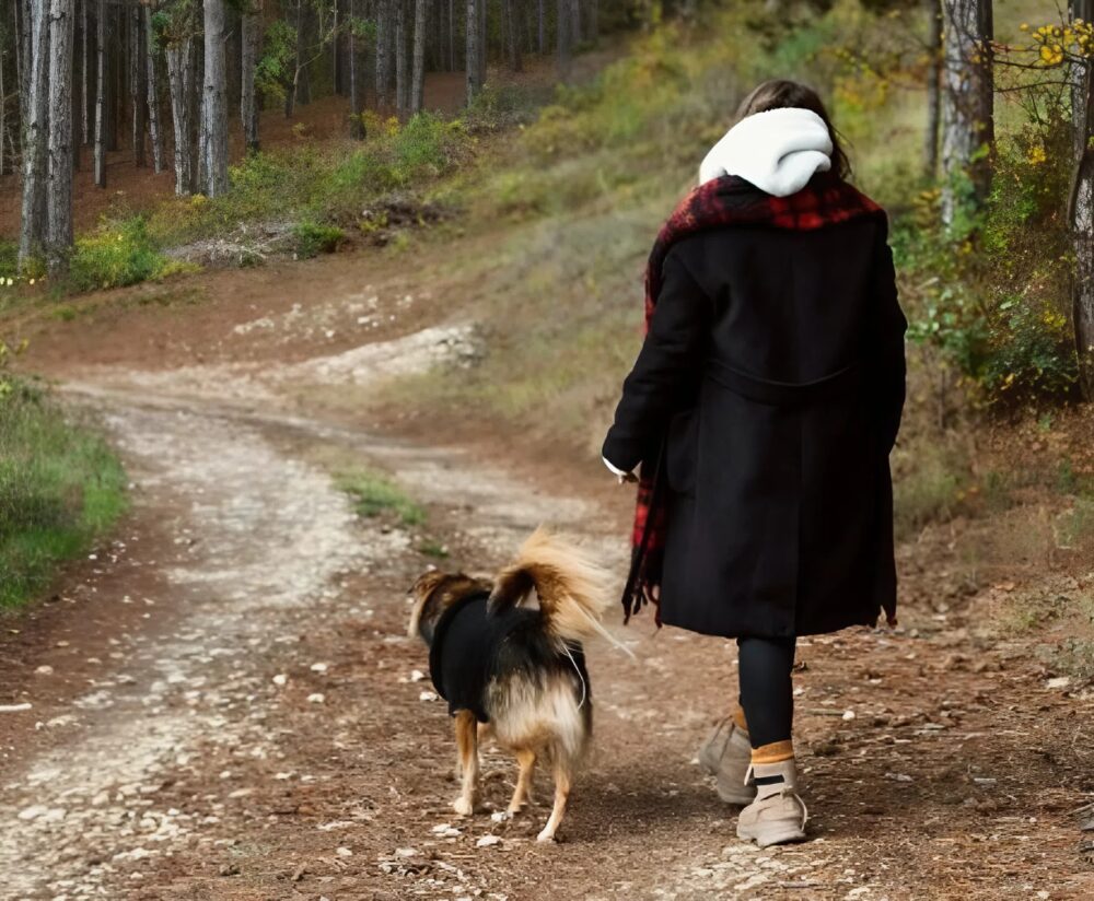 Cuatro años después de la desaparición de mi marido, mi perro regresó con su chaqueta en la boca