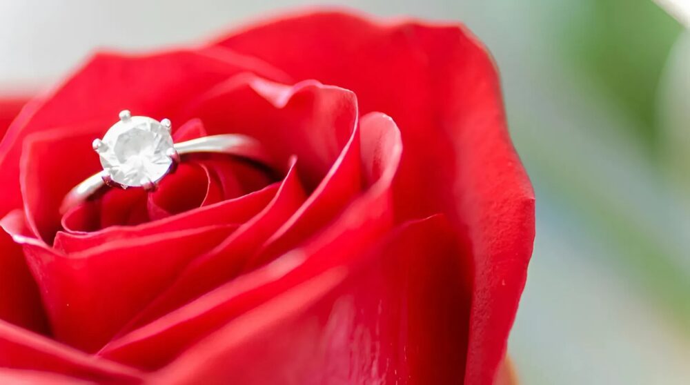 Tres meses después de nuestro encuentro, mi novio me pidió matrimonio: estaba loca de felicidad, hasta que descubrí un secreto aterrador